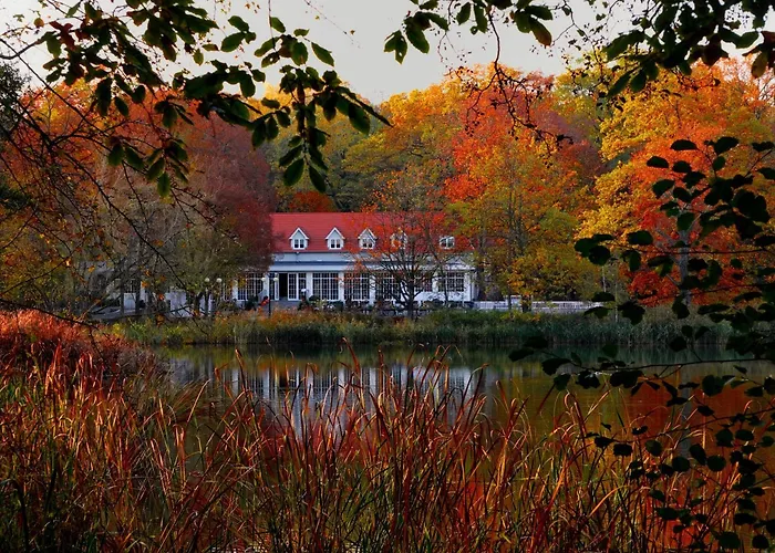 Port Solacz 波兹南